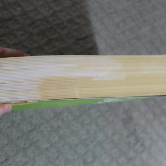 Wiley CPA excel Exam Review Study Guide FAR July 2019 - Picture 5 of 6